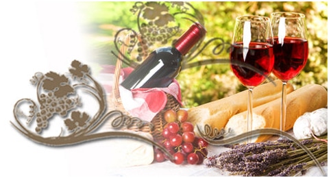 Wine & Food Tours in Italy